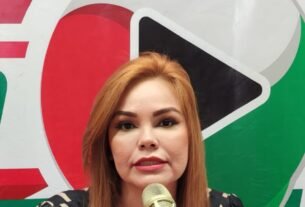 Expriistas que se Fueron al Partido Verde es Porque No Tuvieron Cabida “Ni en Morena”: Paola Gárate