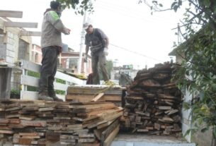 “No es ESTA PERMITIDA LA TALA ILEGAL EN LA CAPITY DE LA CRUSTACON;