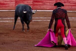 Corridas Toros Peleas Gallo Congreso Cdmx Fecha Límite Discutir y Prohibir