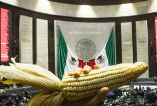DiPutados Constitucionalidad declarante de Reforma de Maíces Nace