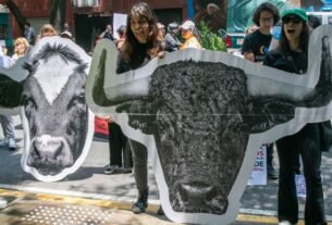 Comisión Sesiónica El 14 de Marzo Sobre la Propuesta de Clara Brugada Para Modificar Las Corridas de Toros en la Cdmx