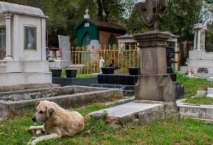 Exhumarán fosas comunes en el Panteón de dolores para identificar posibles desaparecidos