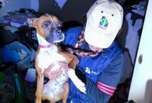 Rescatan a una perrita que se Encontraba en Los Huesos desde 2023 en la Colonia Santa María la Ribera