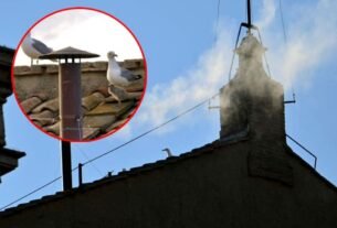 Nuevo Papa: ¿Es la Sagrada Familia? Tres Gaviotas conmueven en fumata blanca