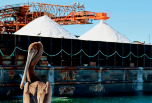 Exportadora de Sal Gana Juicio de Nulidad y Libera Pasivo Contingente de 11,500 MILLONES DE PESOS