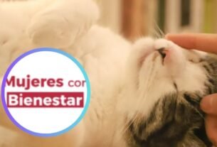 Mujeres Con Bienestar 2025: Así Obtienes Asistencia Veterinaria Gatis para ‘Michis’ y ‘Lomitos’