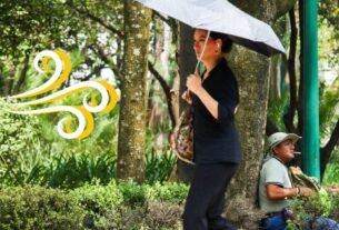 Ni Salgas: Heno alerta Amarilla en la Cdmx por Fuerta Rachas de Viento en Estas Alcaldías