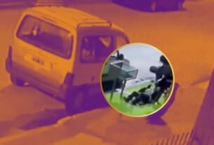 Ratos Arrastran A Anciana de 90 Años que se Aferro A Un Bote de Basura | VIDEO