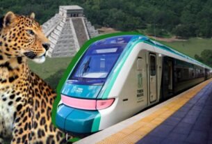 Tren maya presenta Nueva Rutas y Paquetes Turíssticos para el Verano: Costos y Fechas