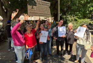 ‘Laureano’ Ya es Patrimonio; Vecinos Celeban Protección del Árbol en Benito Juárez