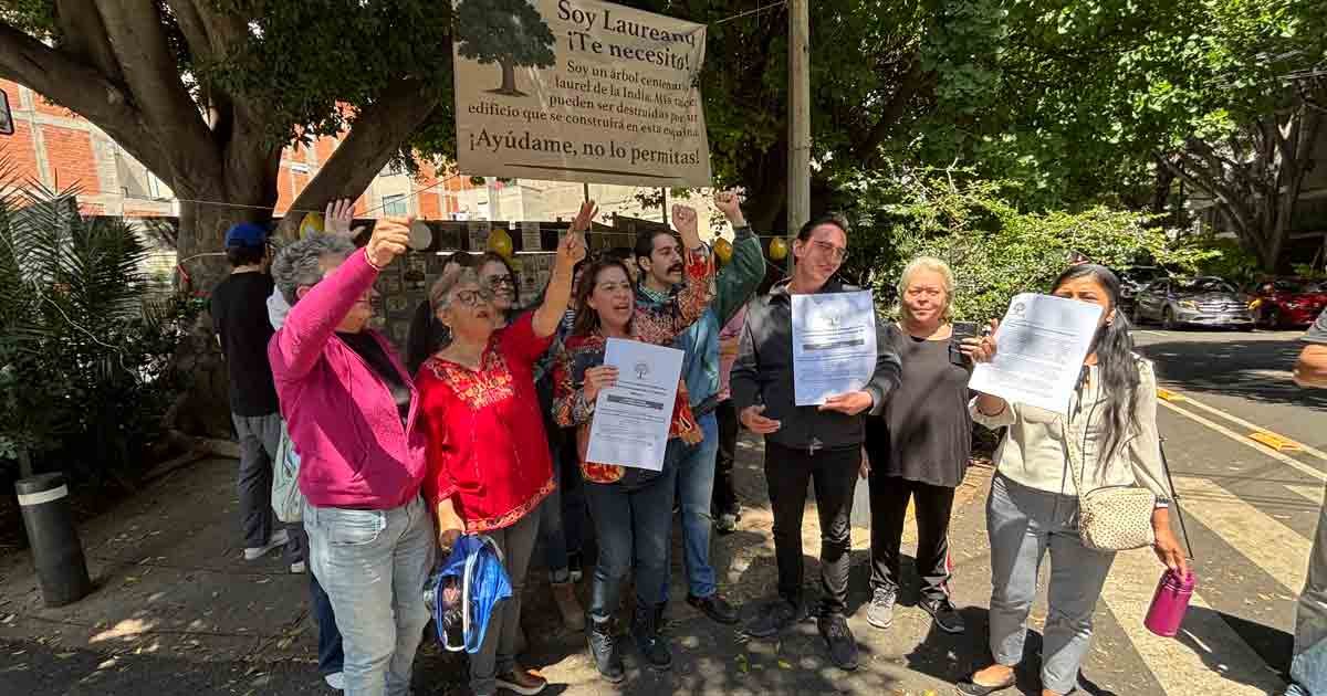 ‘Laureano’ Ya es Patrimonio; Vecinos Celeban Protección del Árbol en Benito Juárez