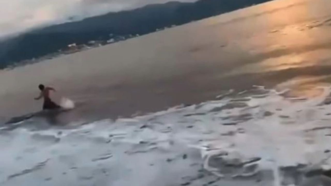“¡LE Tiró la Mordida!”, Turista es Atacado por Cocodrilo en Playa de Puerto Vallarta y Sobrevive de Milagro | VIDEO