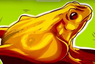 El Test Nuevo Que Te Revelará Si Eres una Persona Reflexiva y analítica en Sólo segundos