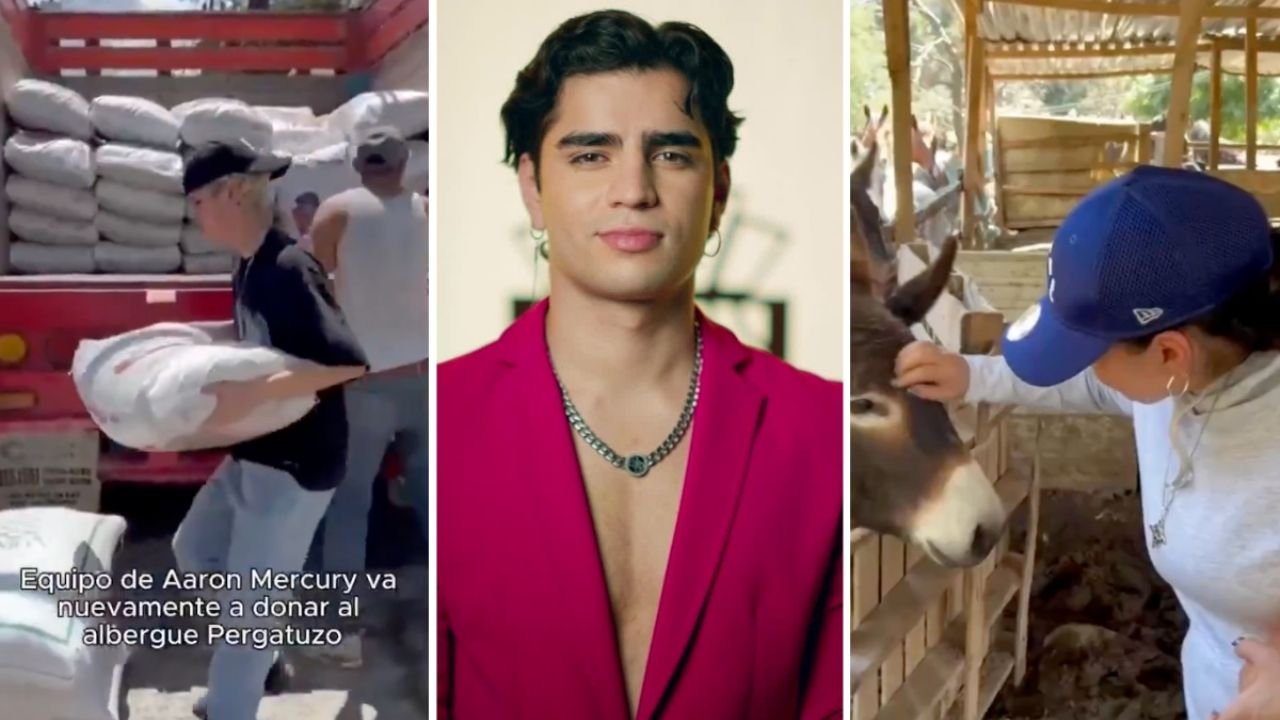 Aarón Mercurio Vuelve A Donar Comida Al Albergue Pergatuzoo, en Agradecimento le Regalan Crema de Avellana