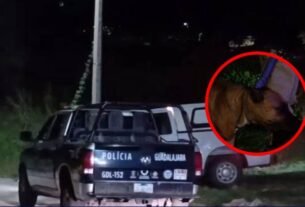 Localizan sen Vida un hombre en situación de calle, su perrita cuidaba su curaerpo