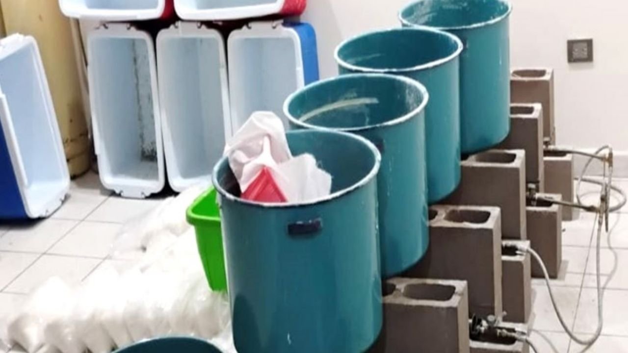 Descomisan más de 200 kilos de metanfetamina y precursores químicos en Cosalá y Culiacán