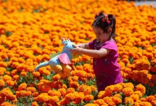Día de Muertos para Niños: ¿Cómo Explicar el Significado de la Ofrenda y el 1 y 2 de Noviembre?