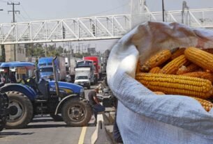 Agricultores liberarán carreteras en México: Sheinbaum pagará apoyo de 950 pesos por tonelada de maíz