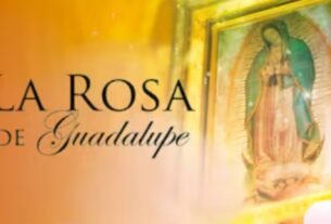 “Volveré cuando mi corazón esté en calma”: actor de La Rosa de Guadalupe informa una inesperada muerte