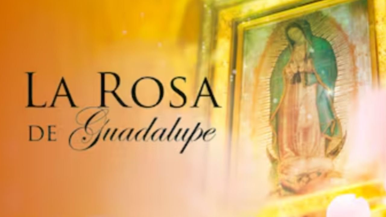 “Volveré cuando mi corazón esté en calma”: actor de La Rosa de Guadalupe informa una inesperada muerte