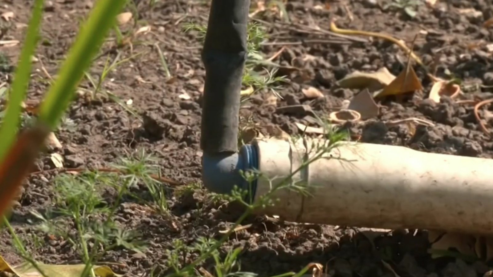 Se Incrementa el Robo de Agua Potable en la Ciudad de México