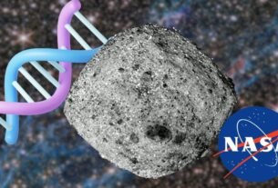 NASA confirma hallazgo histórico en Bennu de materiales y azúcares claves para originar vida