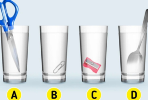 Acertijo visual: sólo una persona inteligente encuentra el vaso con más agua en sólo 5 segundos