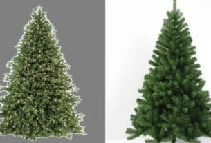 ¿Árbol de Navidad natural o artificial? La UNAM revela los pros y contras de cada uno hacía el medio ambiente