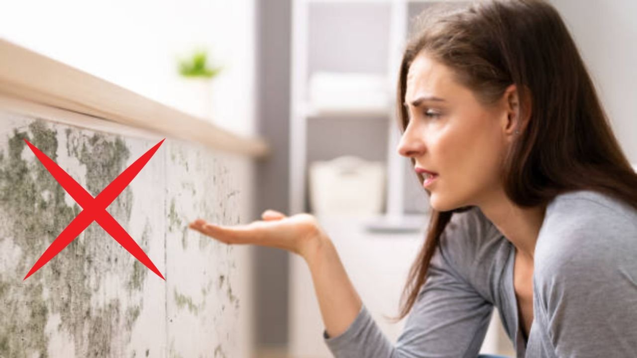 Tres trucos de arquitectos para eliminar la humedad de las paredes
