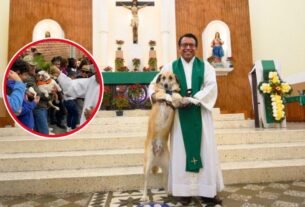 ¿Por qué las iglesias se llenaron de perritos y gatos? La emotiva razón detrás de la bendición de cientos de mascotas | VIDEO