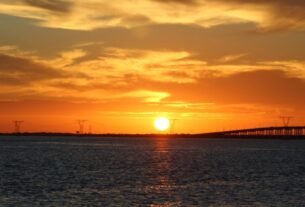 Ciudad Victoria Reporta MX$24 Millones en Ahorros Anuales de Energía