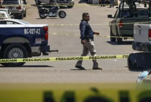 México promedió 80 homicidios diarios en el primer semestre de 2025