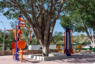 Clima en León este miércoles 11 de febrero: cielo despejado y ambiente templado todo el día