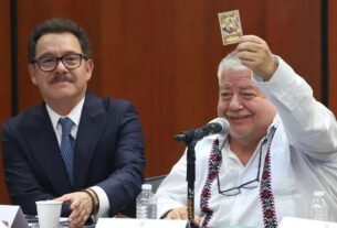 Comisiones del Senado avalan el ‘Plan B’; PT se ausenta y no fija postura