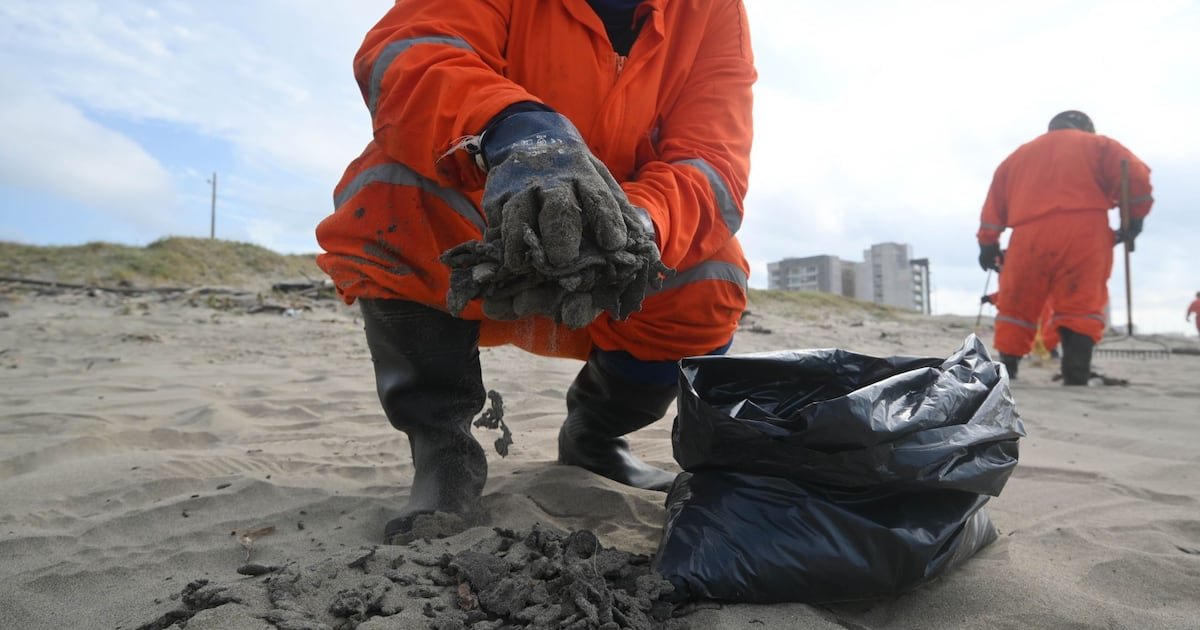 Recolectan más de 825 toneladas de hidrocarburos por derrame en costas del Golfo de México