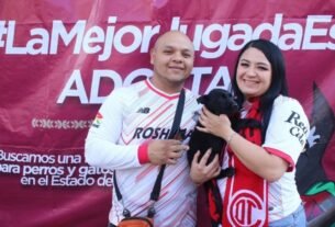 La Mejor Jugada es Adoptar: llevarán adopción de perros y gatos al México vs Serbia en Edomex