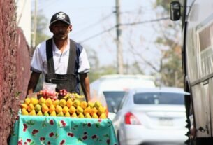 ¿Cómo salir de la trampa de la informalidad?
