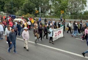 Marchan maestros de pueblos indígenas en exigencia de seguridad; denuncian amenazas, desplazamientos y desapariciones