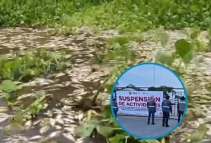 Clausuran alcoholera de Nopaltepec tras muerte masiva de peces en Veracruz